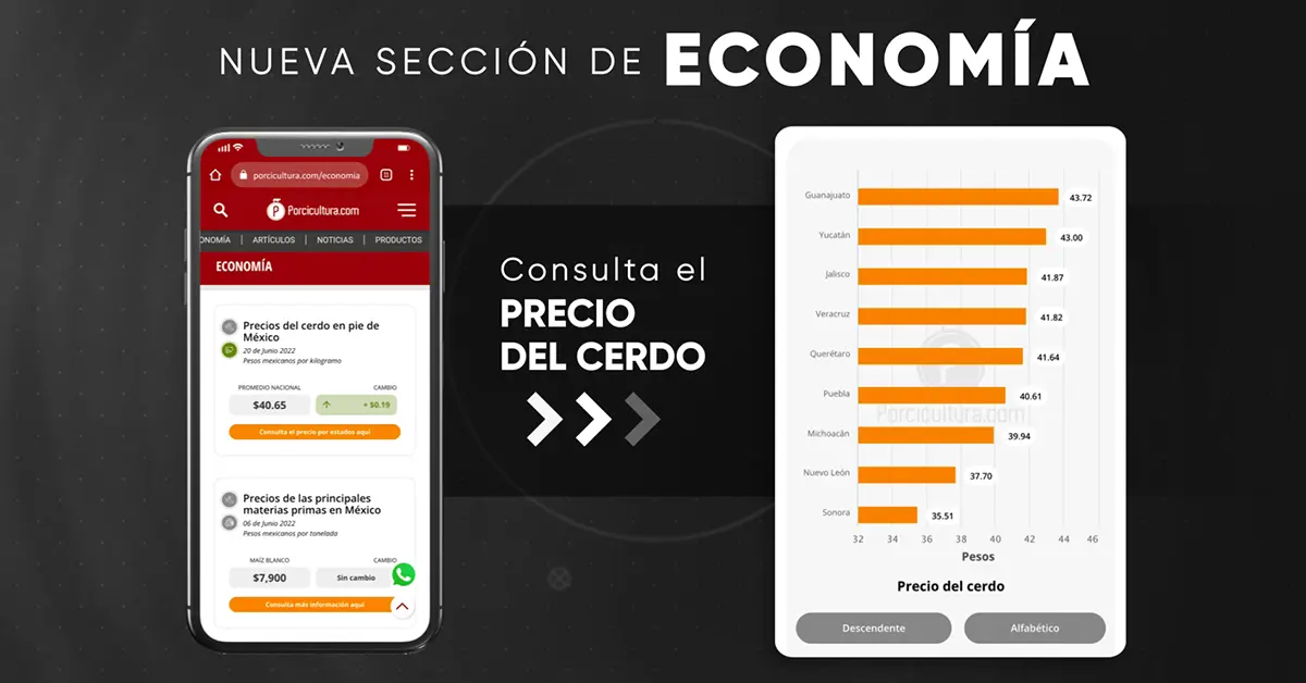 Precio De Puerco En Pie En Jalisco www.porcicultura.com